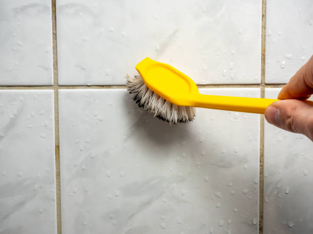 Best Bathroom Mold Remediation in Elm Grove, WI